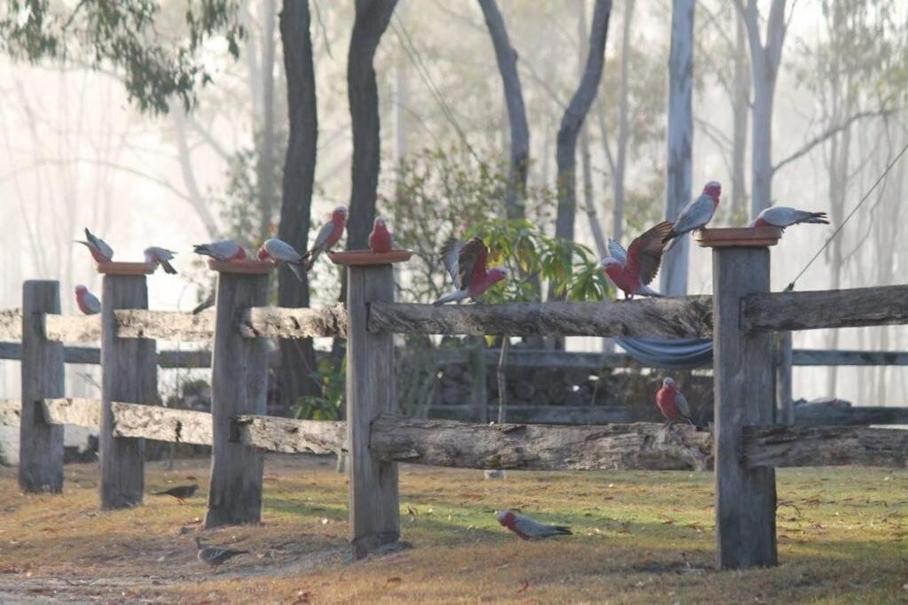 MoolboolamanSaddleback Country Cabins Near Gin Gin别墅 外观 照片