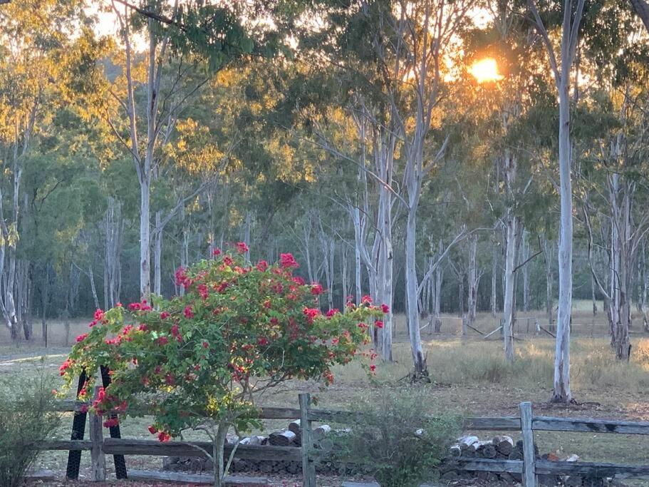 MoolboolamanSaddleback Country Cabins Near Gin Gin别墅 外观 照片